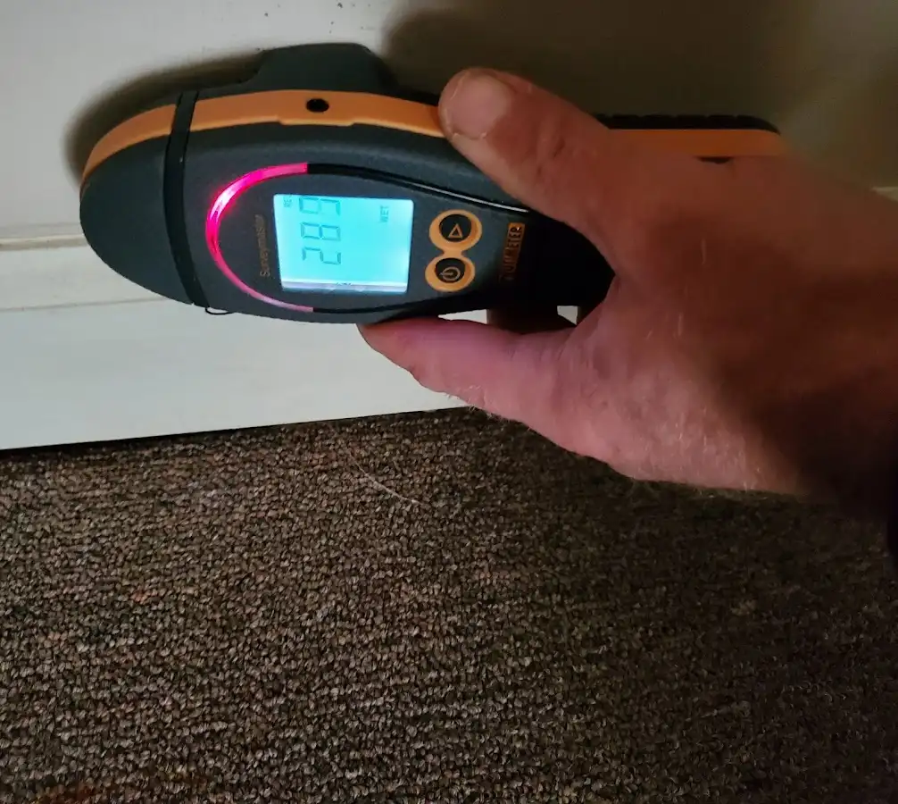 Moisture detection at baseboard during Sewage Cleanup & Sanitation in Mount Horeb